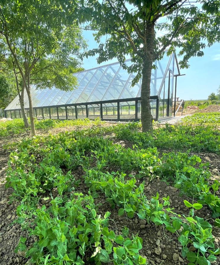 Istvan Parkhotel Es Gasztrofarm Sormás 外观 照片