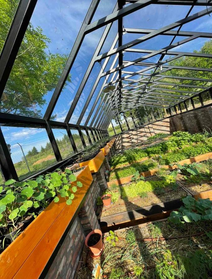 Istvan Parkhotel Es Gasztrofarm Sormás 外观 照片