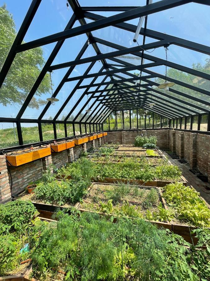 Istvan Parkhotel Es Gasztrofarm Sormás 外观 照片