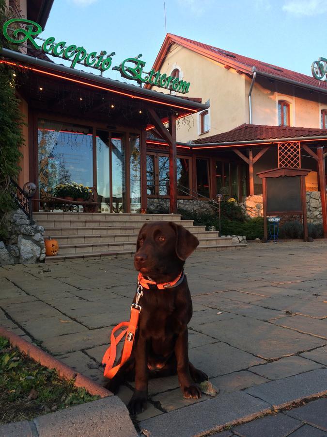 Istvan Parkhotel Es Gasztrofarm Sormás 外观 照片